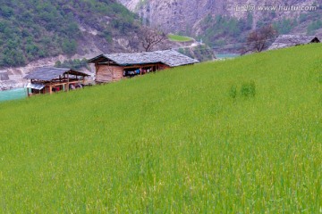 丙中洛雾里村