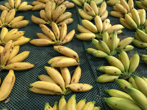 商超场景 香蕉堆头