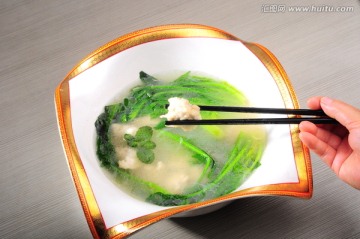云南银子菜