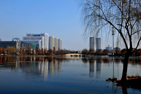 湖边风景 河岸风景 高楼