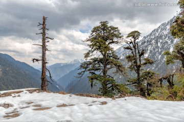 高黎贡山