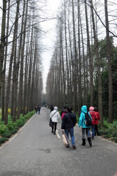 上海植物园