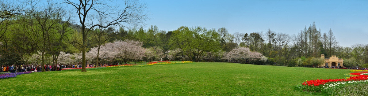 太子湾公园全景