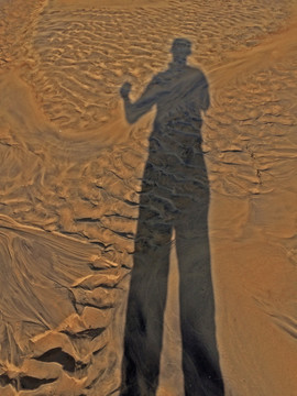 沙丘影子