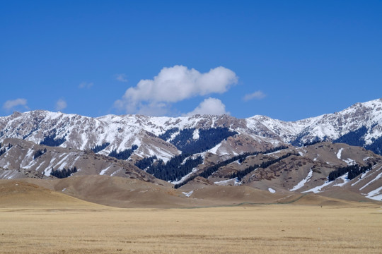 雪山