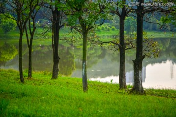 湖边树林草地