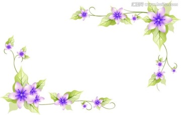 紫色花卉 花边 花纹