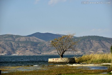 洱海湖景