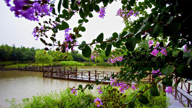 小桥 花 河流