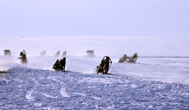 冬季蒙古族马拉雪橇比赛