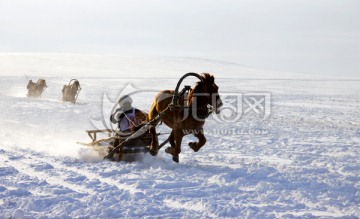 冬季马拉雪橇比赛