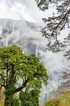 高黎贡山风光