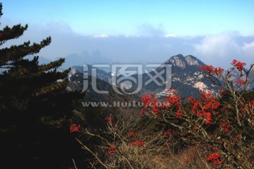 黄山风景