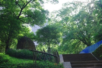 武夷山登山道路