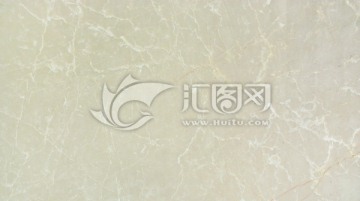 白玉兰