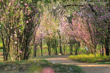 阳光花开园林