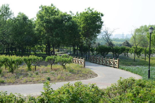 北京鸿博公园风光
