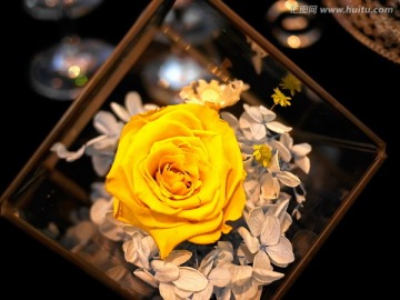黄色玫瑰花婚礼现场布置花卉