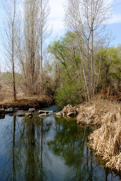 小河