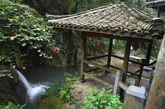 风景