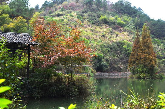漓江古东景区风景