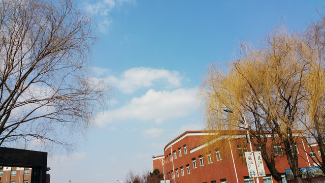 建筑上空的蓝天白云
