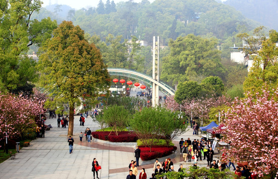 重庆南山植物园