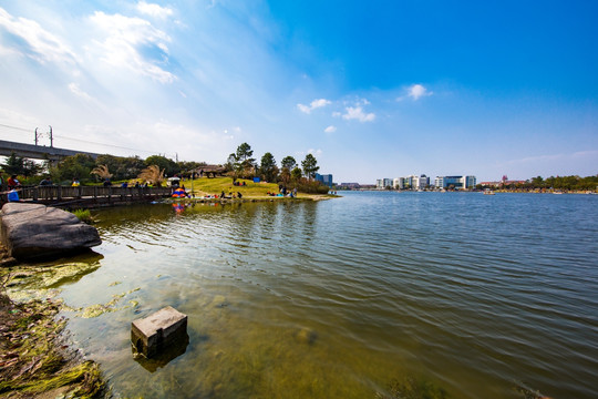 上海美兰湖风光