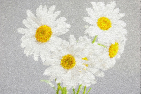 白色花朵绘画 插画 绘画背景图