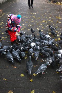儿童与鸽子