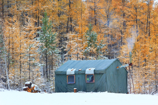 松林帐篷秋雪