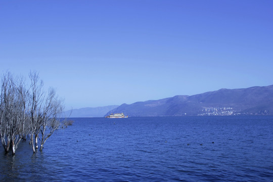 湖水 湖泊 植物 风景 树林