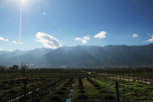 大理旅游 大理美景 田园生活