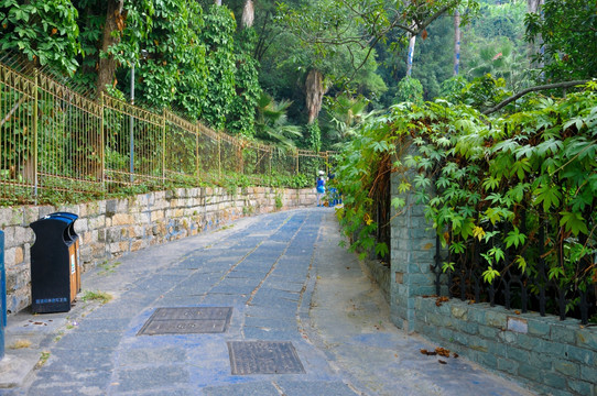 庭院 木栅栏