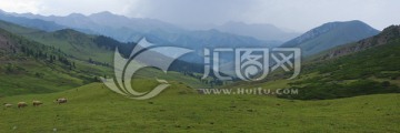 天山牧场