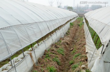 塑料大棚