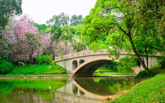 华南植物园风景