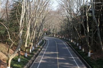 中山陵景区道路