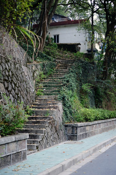 新安江畔山居