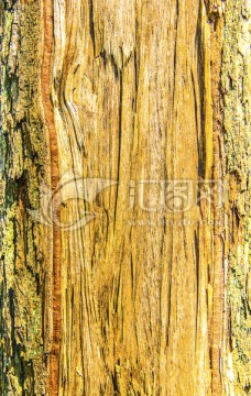 木纹 木质 朽木