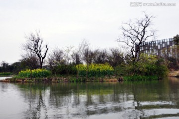 西溪湿地公园