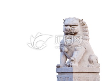 白背景的石狮雕塑