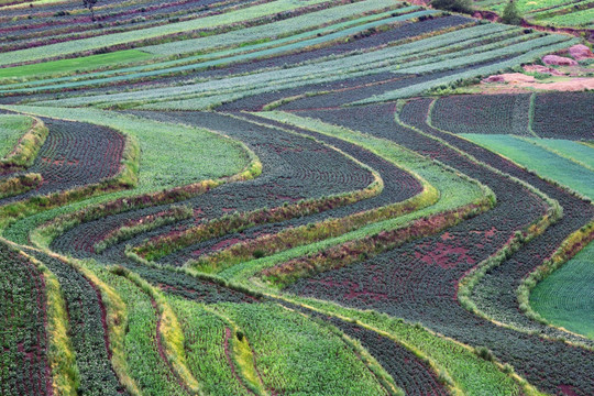 草沿天路风景区