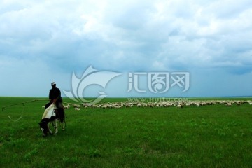 草原骑马放牧羊群