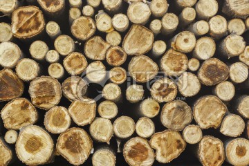 木材圆木背景