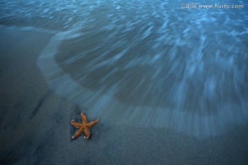 海浪沙滩海星