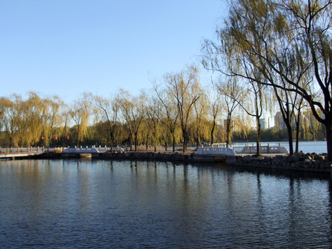 北京龙潭湖公园