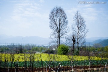 丽江 拉市海