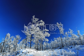 林海雪原