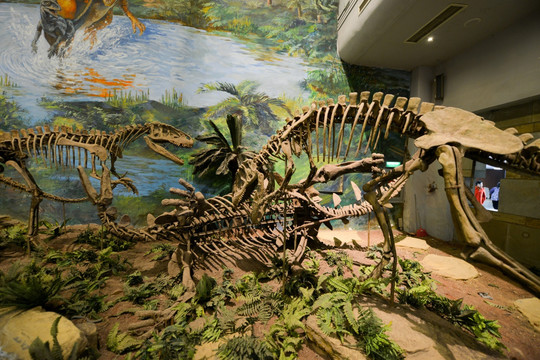 自贡恐龙化石博物馆